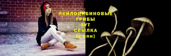 первитин Богородицк