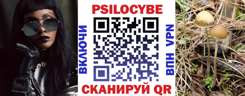 дарк нет какой сайт omg маркетплейс Надым Псилоцибиновые грибы Cubensis