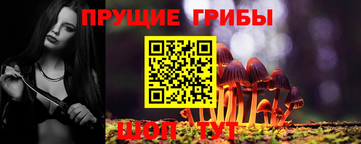 Псилоцибиновые грибы GOLDEN TEACHER  Вход с VPN  Надым  Псилоцибиновые грибы ЛСД 